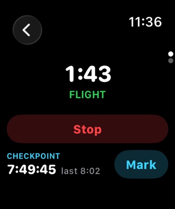 Apple Watch screen: Timers
